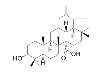 Bacosine