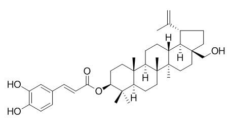 Betulin caffeate