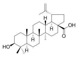 Betulinic acid