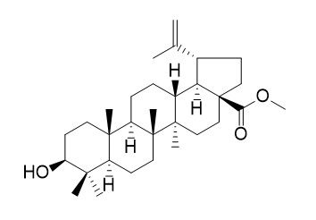 Betulinic acid methyl ester