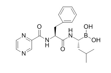 Bortezomib (PS-341)