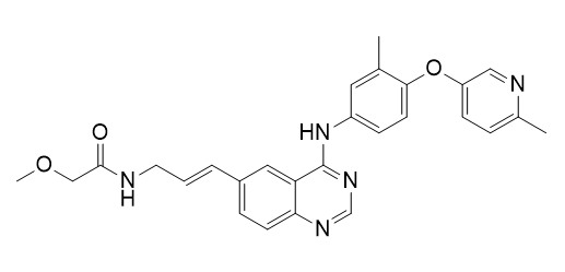 CP-724714