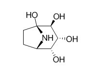 Calystegine B4