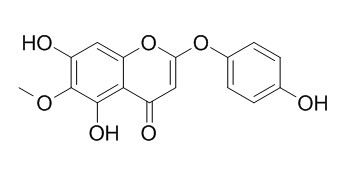 Capillarisin