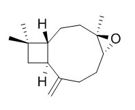 Caryophyllene oxide