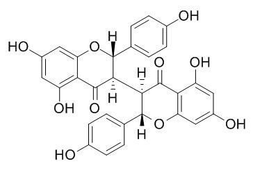 Chamaejasmine