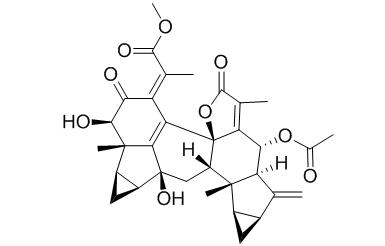 Chlorahololide C