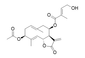 Chromolaenide