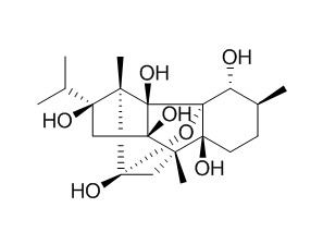 Cinnzeylanol