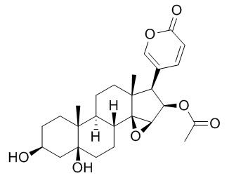 Cinobufotalin