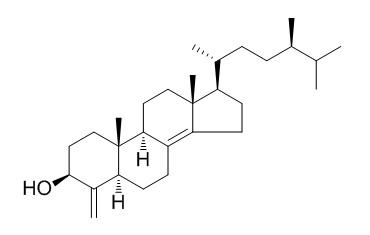 Conicasterol