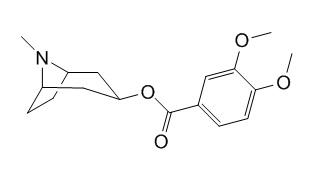 Convolamine