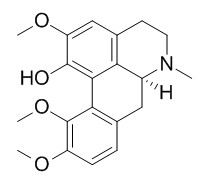 Corydine