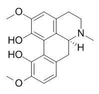 Corytuberine