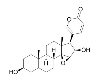 Deacetylcinobufagin