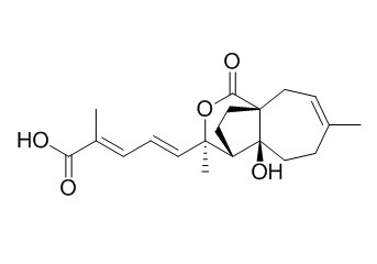 Deacetylpseudolaric acid A