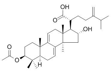 Dehydropachymic acid