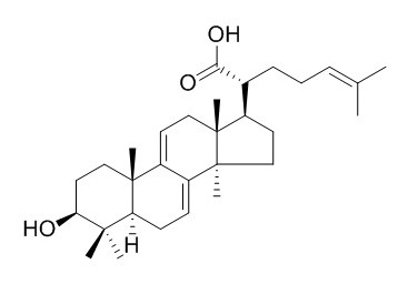 Dehydrotrametenolic acid