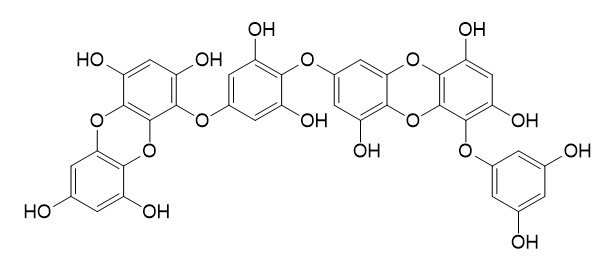 Dieckol