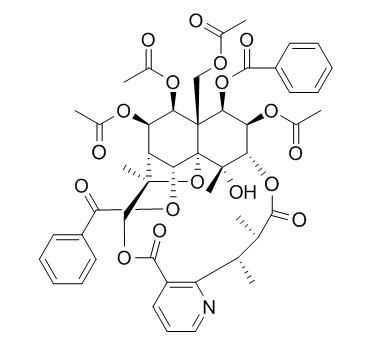 Ebenifoline E-II