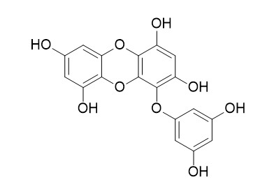 Eckol