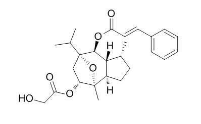 Englerin A