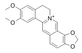 Epiberberine