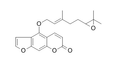 Epoxybergamottin