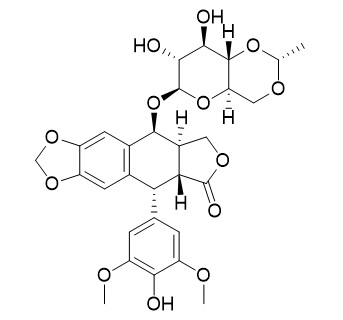 Etoposide