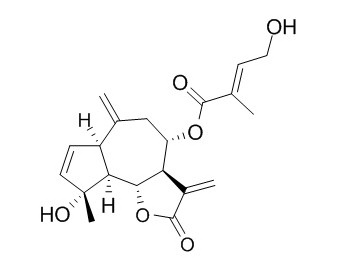 Eupalinilide B