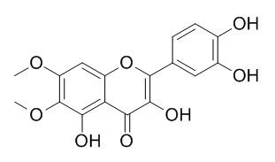 Eupatoletin