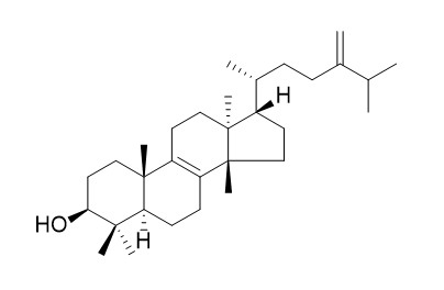 Euphorbol