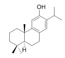 Ferruginol