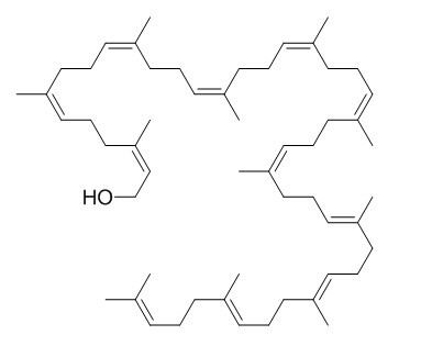 Ficaprenol 11