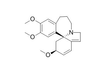 Fortuneine