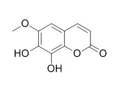 Fraxetin