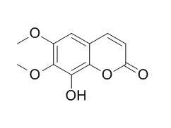 Fraxidin