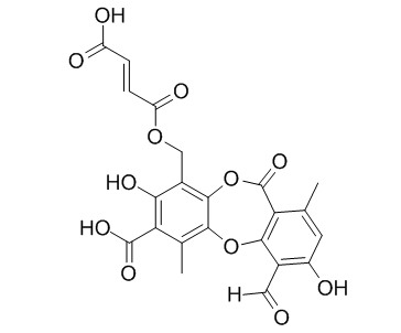 Fumarprotocetraric acid