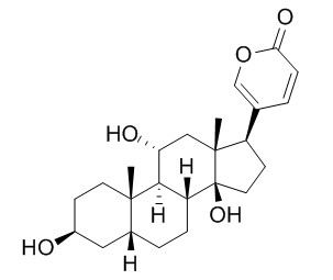 Gamabufotalin