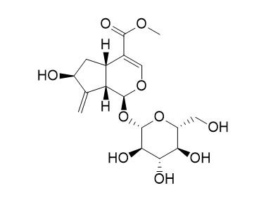 Gardoside methyl ester