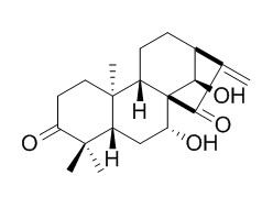 Glaucocalyxin A