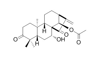 Glaucocalyxin B