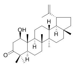 Glochidonol