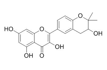 Glycyrrhiza flavonol A