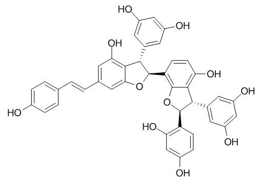 Gnetumontanin B