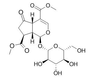 Griselinoside