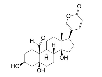 Hellebrigenin