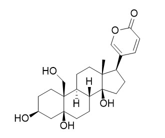 Hellebrigenol