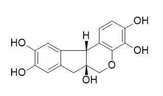 Hematoxylin