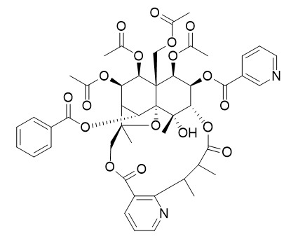 Hyponine D